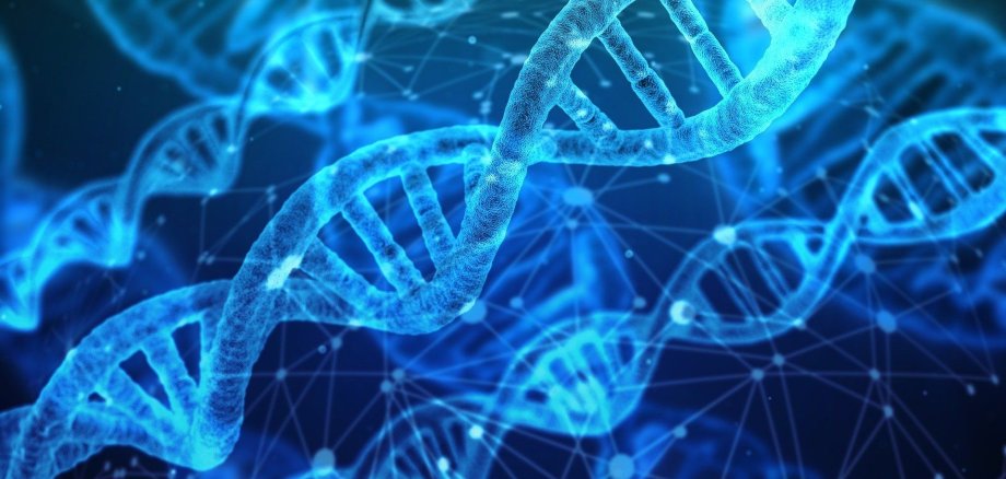 Verschiedene blaue DNA-Molekülketten