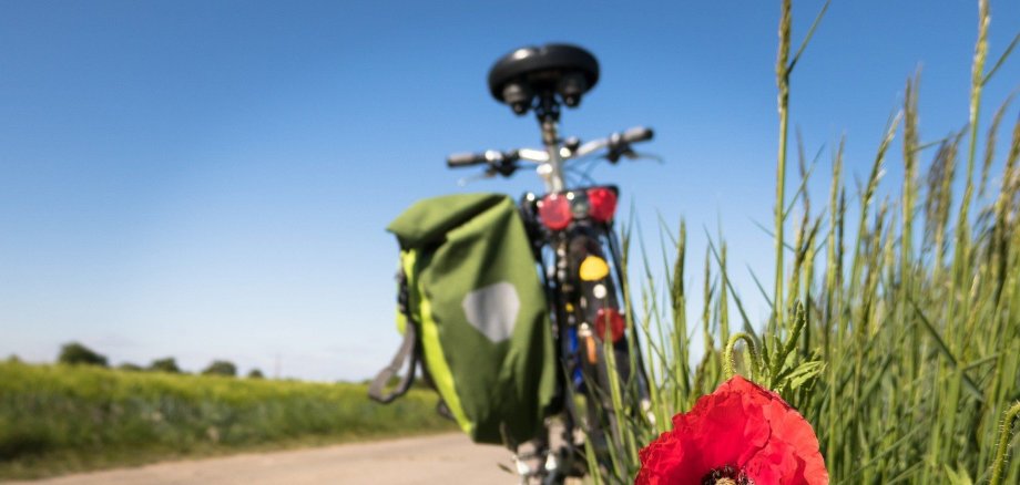 Ein grünes Landschaftsbild mit Fahrrad in der Mitte. Vor dem Fahrrad befindet sich eine Mohnblume.