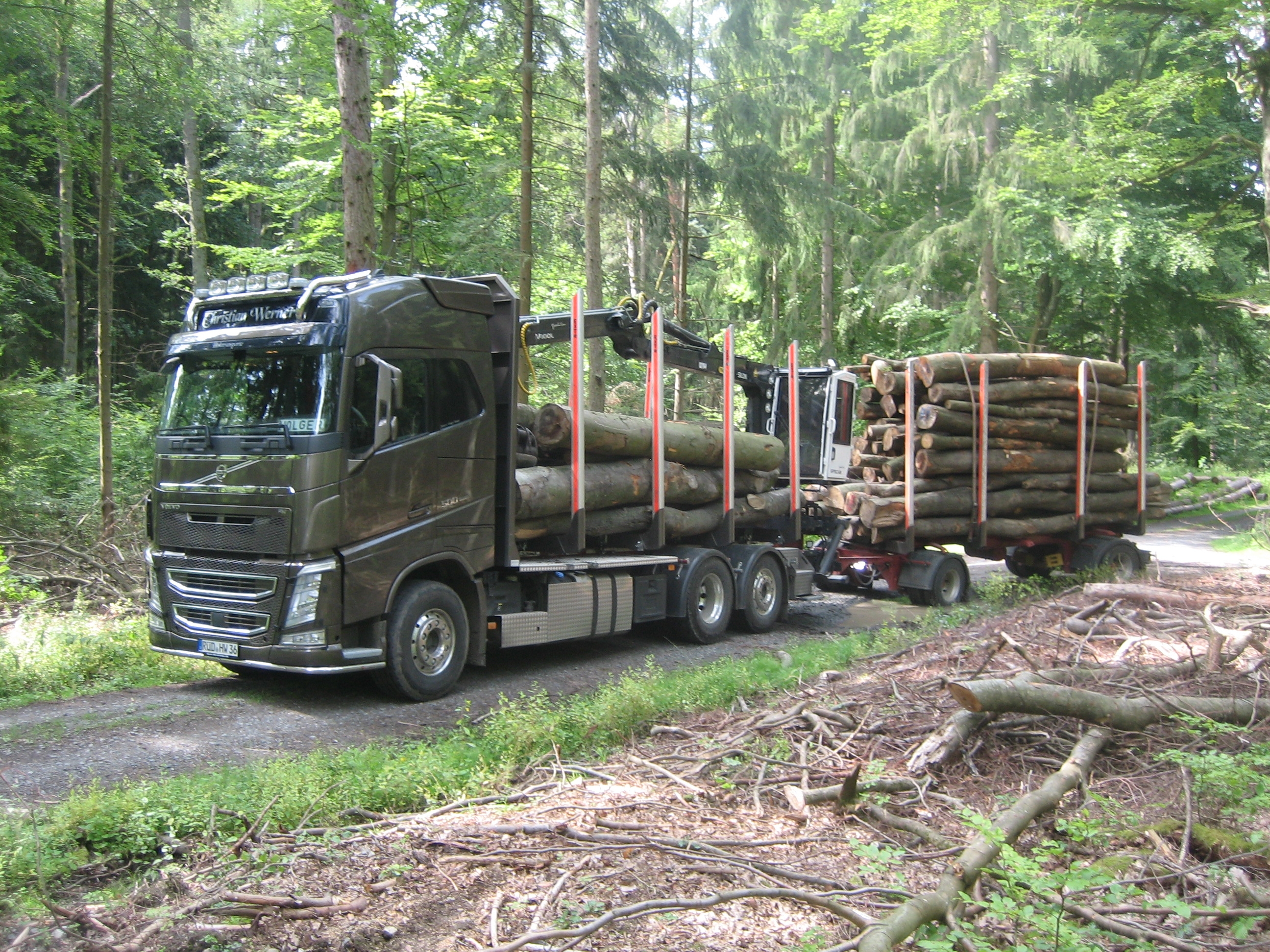 Ein LKW Holztransporter im Wald.