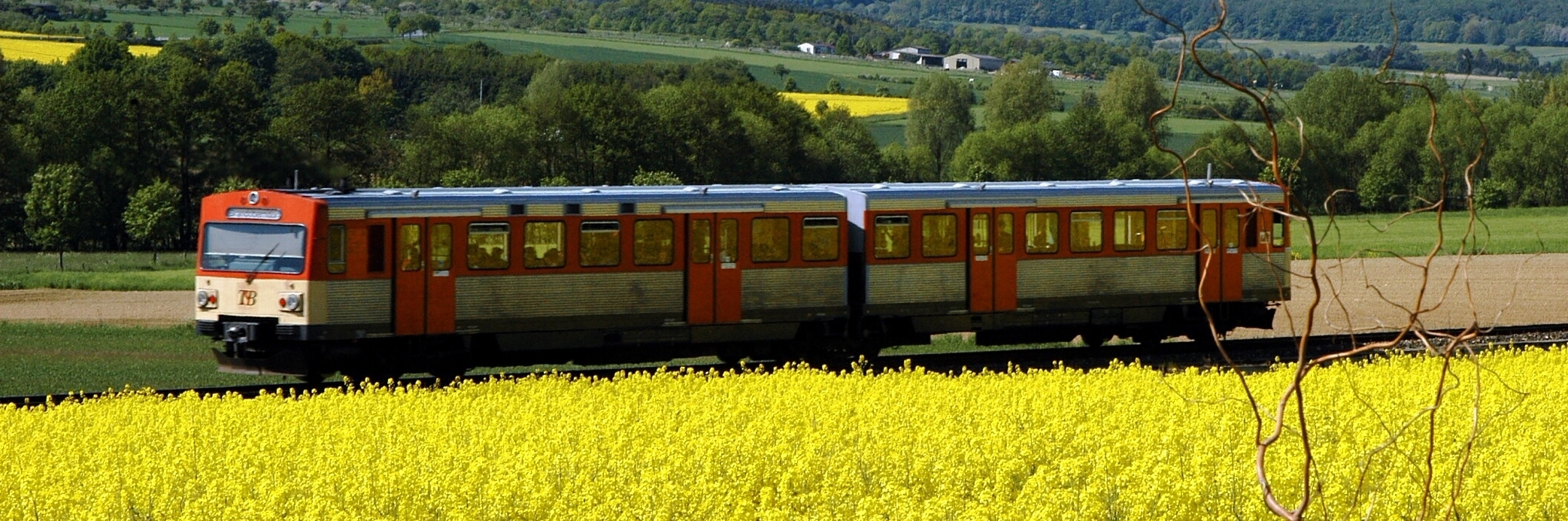 Blick auf Eschbach 2.JPG