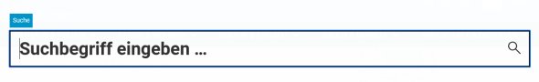 Es ist das Suchfeld zu sehen, welches sich bei Klick auf die Suche öffnet. In dieses kann man einen Suchbegriff eingeben.