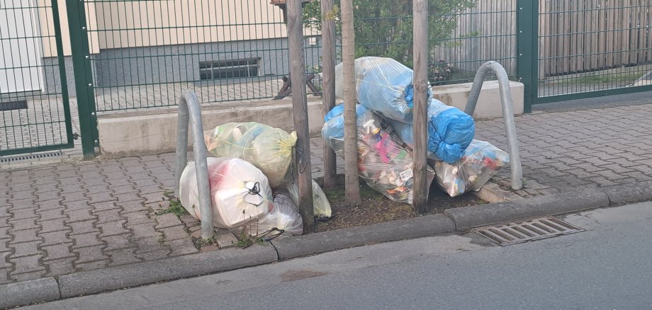 Mehrere gefüllte Müllsäcke, teils in blauen und durchsichtigen Plastiktüten, die an einer jungen Baumstütze abgestellt wurden. Im Hintergrund sieht man einen Zaun, Büche und ein Gebäude, während der Müll teils auf dem Gehweg und teils im Grünstreifen liegt.