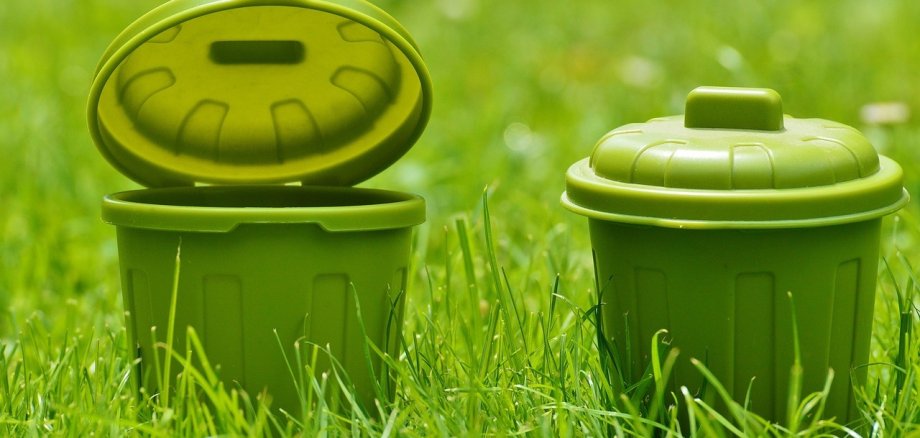 Zwei grüne kleine Plastiktonnen auf einer grünen Wiese.