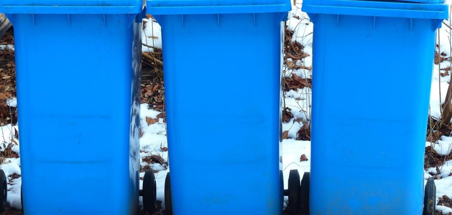 Drei blaue Papiertonnen stehe auf dem Weg, im Hintergrund ist Schnee zu sehen.