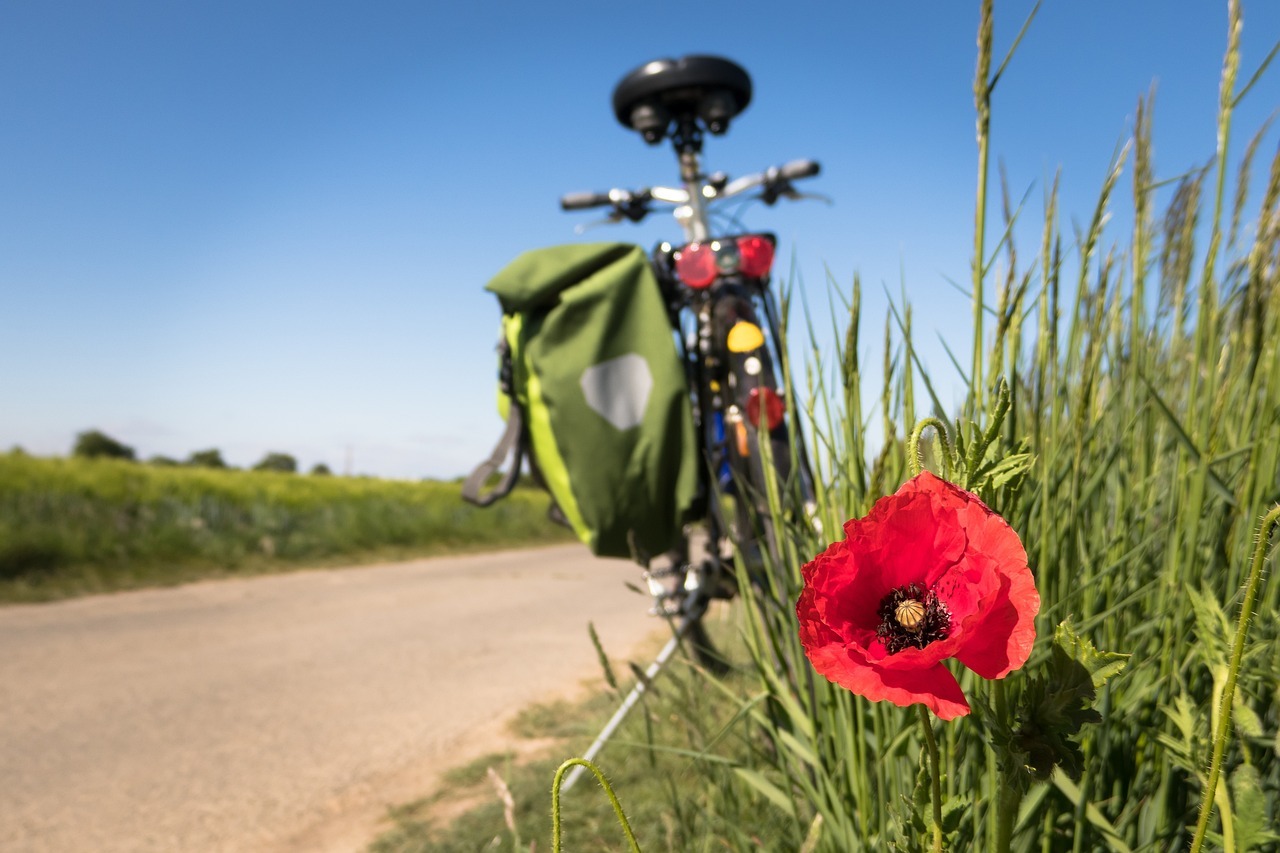 Ein Fahrrad auf einem Feldweg mit blauem Himmel und einer roten Mondblume im Vordergrund.