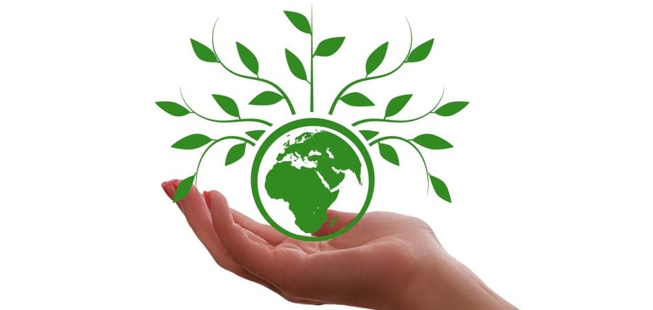 Eine Hand, welche den Planet Erde festhält. Aus der Erde wächst ein Baum.