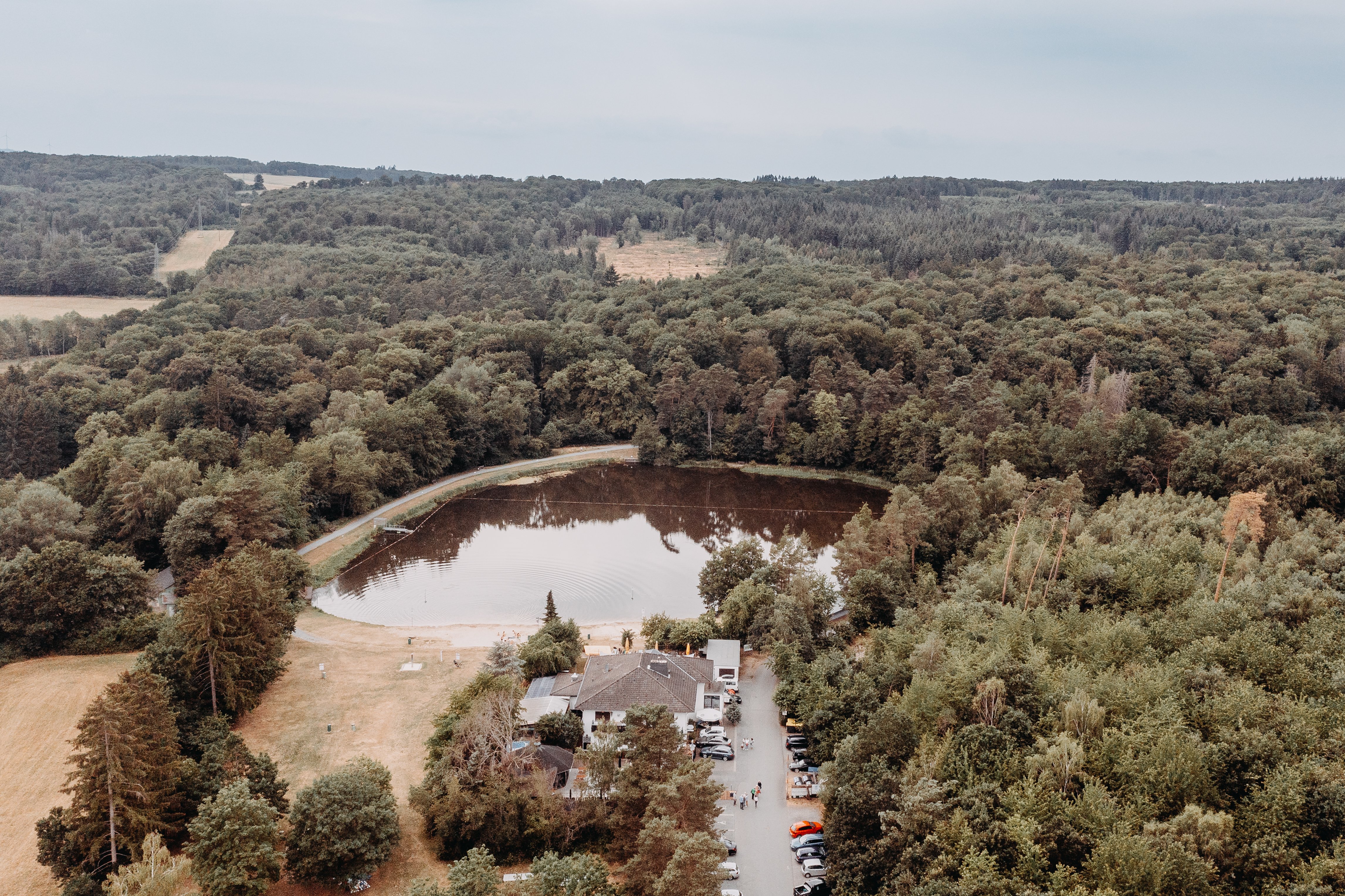 Luftaufnahme Hattsteinweiher