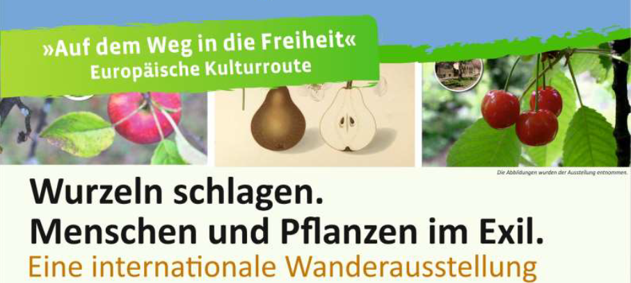 Hugenotten Ausstellung, Gemüse und Obst vereint auf einem Bild mit der Aufschrift "Wurzeln schlagen. Menschen und Pflanzen im Exil."