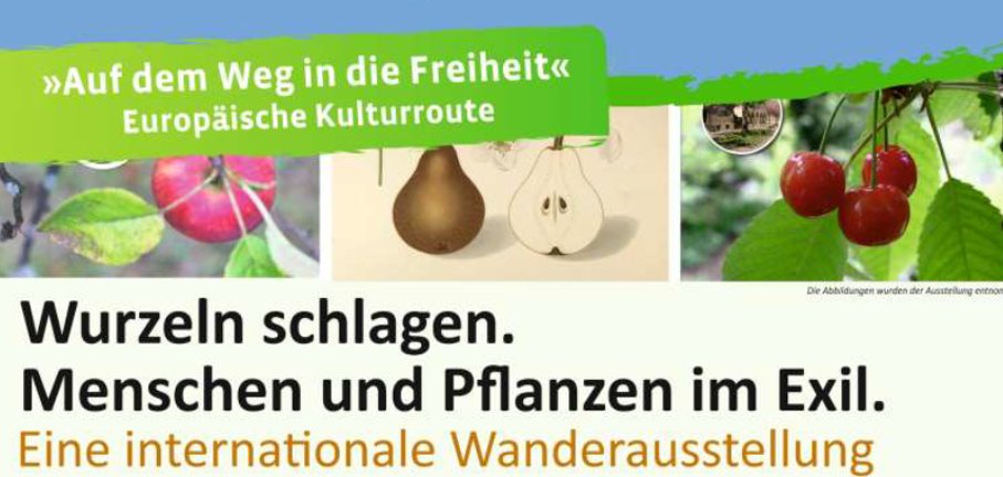 Hugenotten Ausstellung, Gemüse und Obst vereint auf einem Bild mit der Aufschrift "Wurzeln schlagen. Menschen und Pflanzen im Exil."