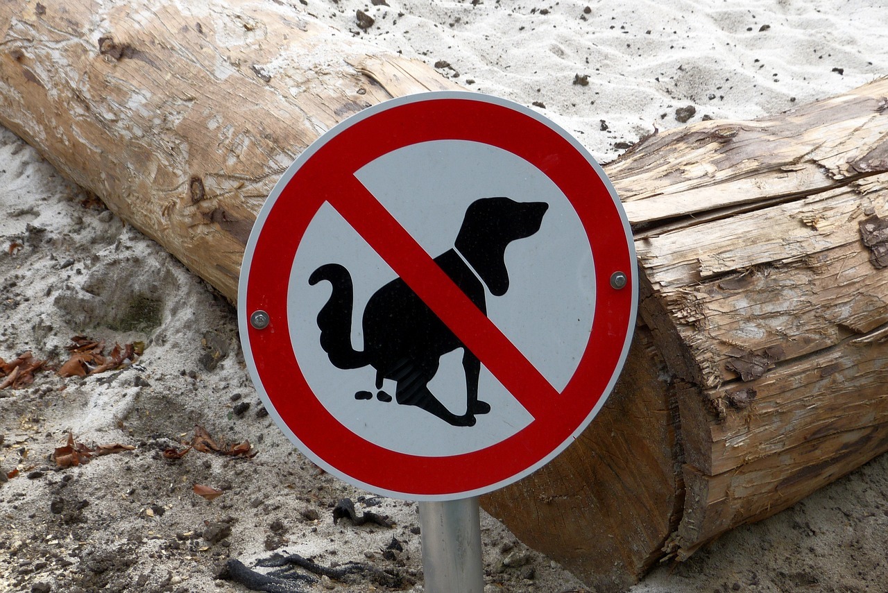 Ein Schild auf dem ein und sein Geschäft verrichtet, welches mit einer roten Linie durchgezogen ist, was bedeutet, dass Hunde ihr Geschäft dort nicht verrichten dürfen.