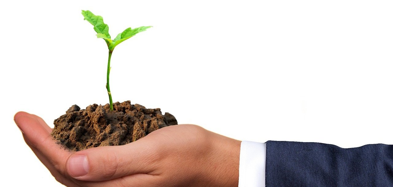 Eine Hand hält eine Pflanze die aus der Erde Wächst.