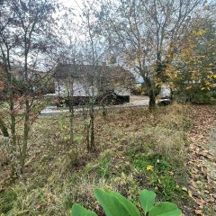 Blick vom Gehweg zum Grundstück. Auf dem Grundstück steht ein Haus, umgeben von einer Grünfläche.