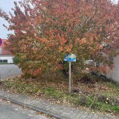 Im Hintergrund sieht man einen herbstlichen Baum und im Vordergrund steht ein blaues Schild.