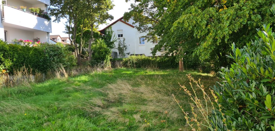 Eine große Grünfläche mit Bäumen, neben einem anderem Familienhaus.