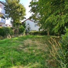 Eine große Grünfläche mit Bäumen, neben einem anderem Familienhaus.