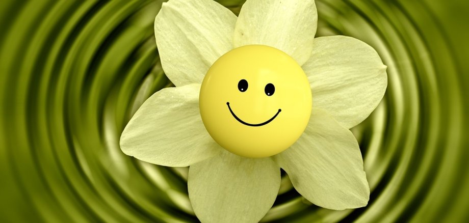 Eine weiße Blüte mit Smileygesicht auf grünem Hintergrund.