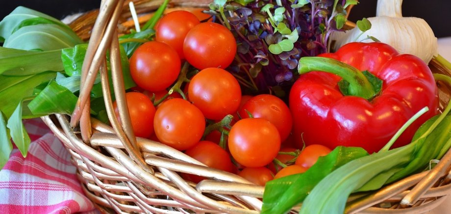 Ein Korb voll mit Gemüse (Tomaten,Paprika,Salat)
