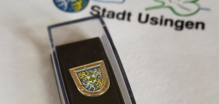 Sprudelnder Wasserhahn in einer Stadtumgebung