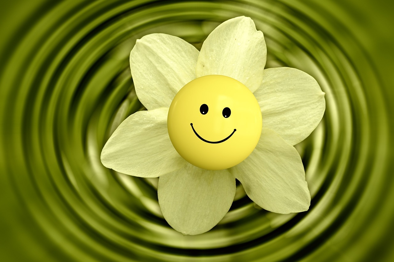 Eine weiße Blüte mit Smileygesicht auf grünem Hintergrund.