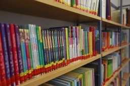 Bücherregal Inem einem Bücherregal derStadtbücherei Usingen sind verschiedene Buchrücken zu sehen.