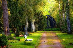 Waldfriedhof Weg durch einen Waldfriedhof. Auf der linken Seite sind eine Bank und Grabsteine.