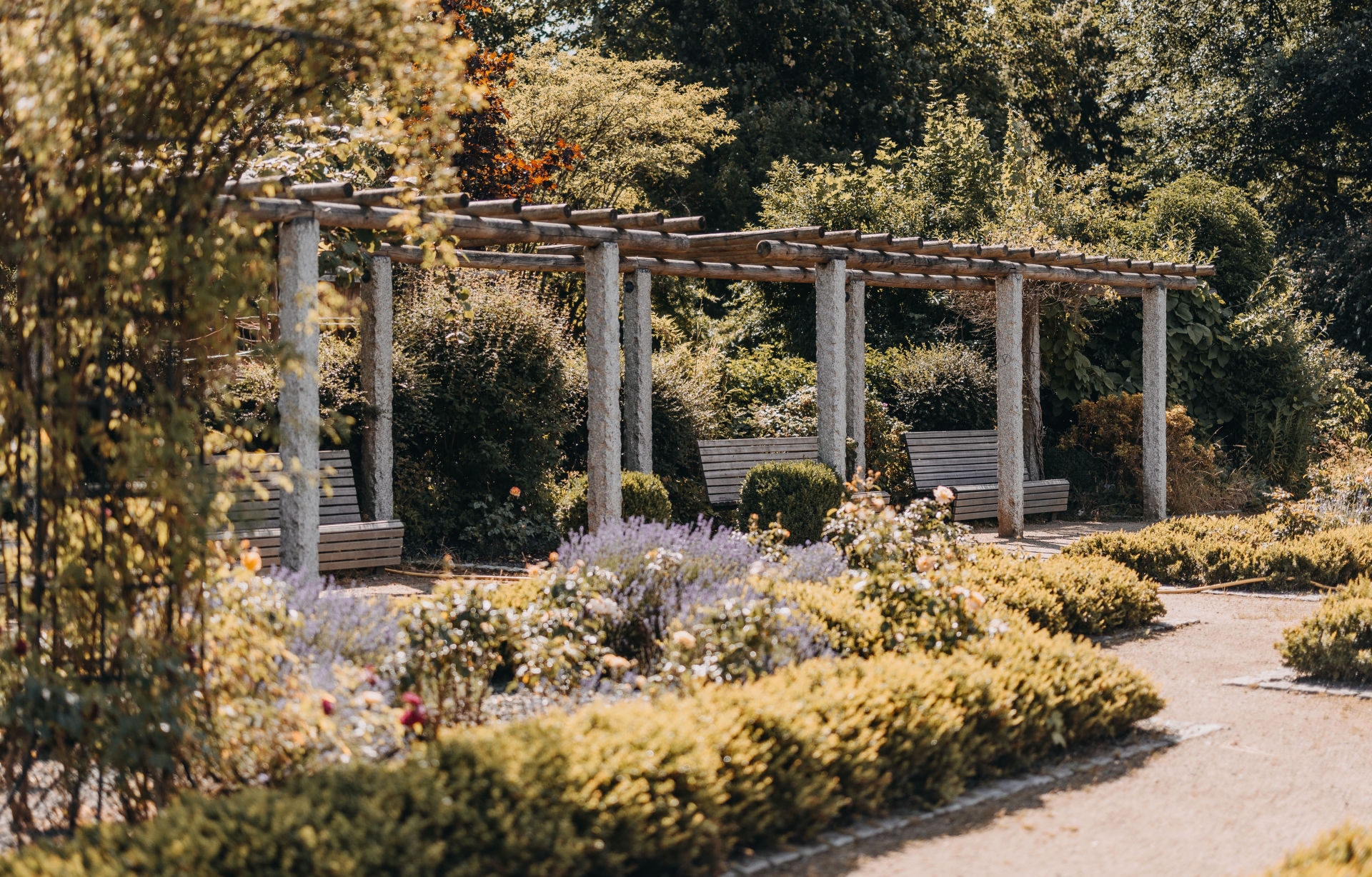Schlossgarten mit Rosengarten Rosengarten im Schlossgarten Usingen mit bepflanzten Beeten, Rosen und Sträuchern. Eine Pergola mit Steinpfosten und Holzbalken überspannt mehrere Sitzbänke.